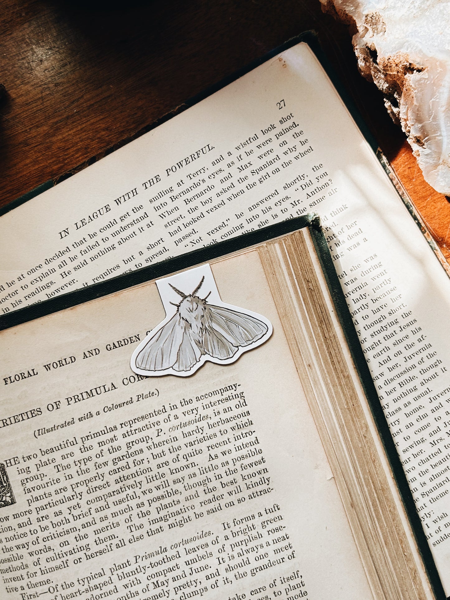 Enchanted Forest | Magnetic Bookmark