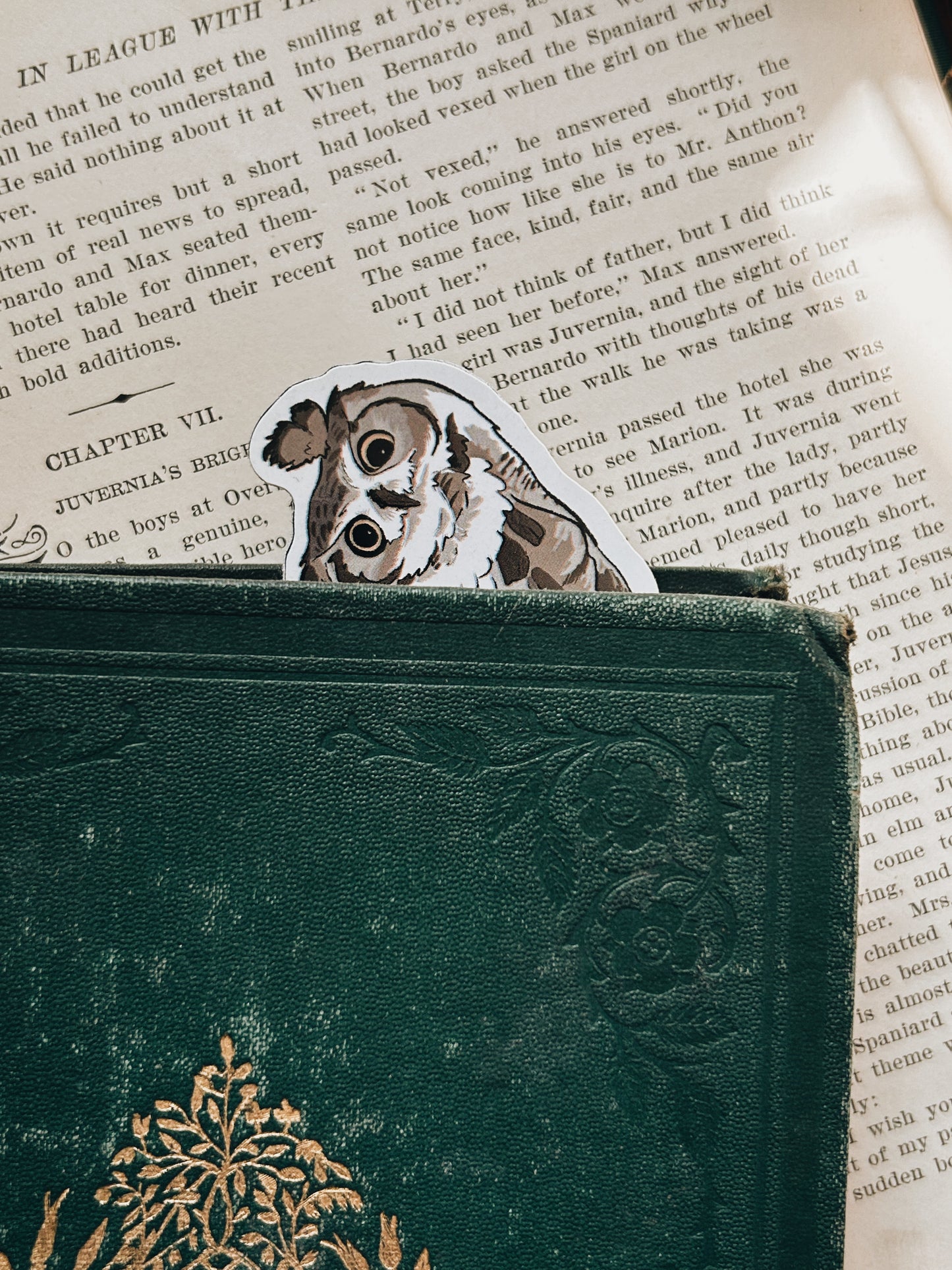 Henwyn | Magnetic Bookmark