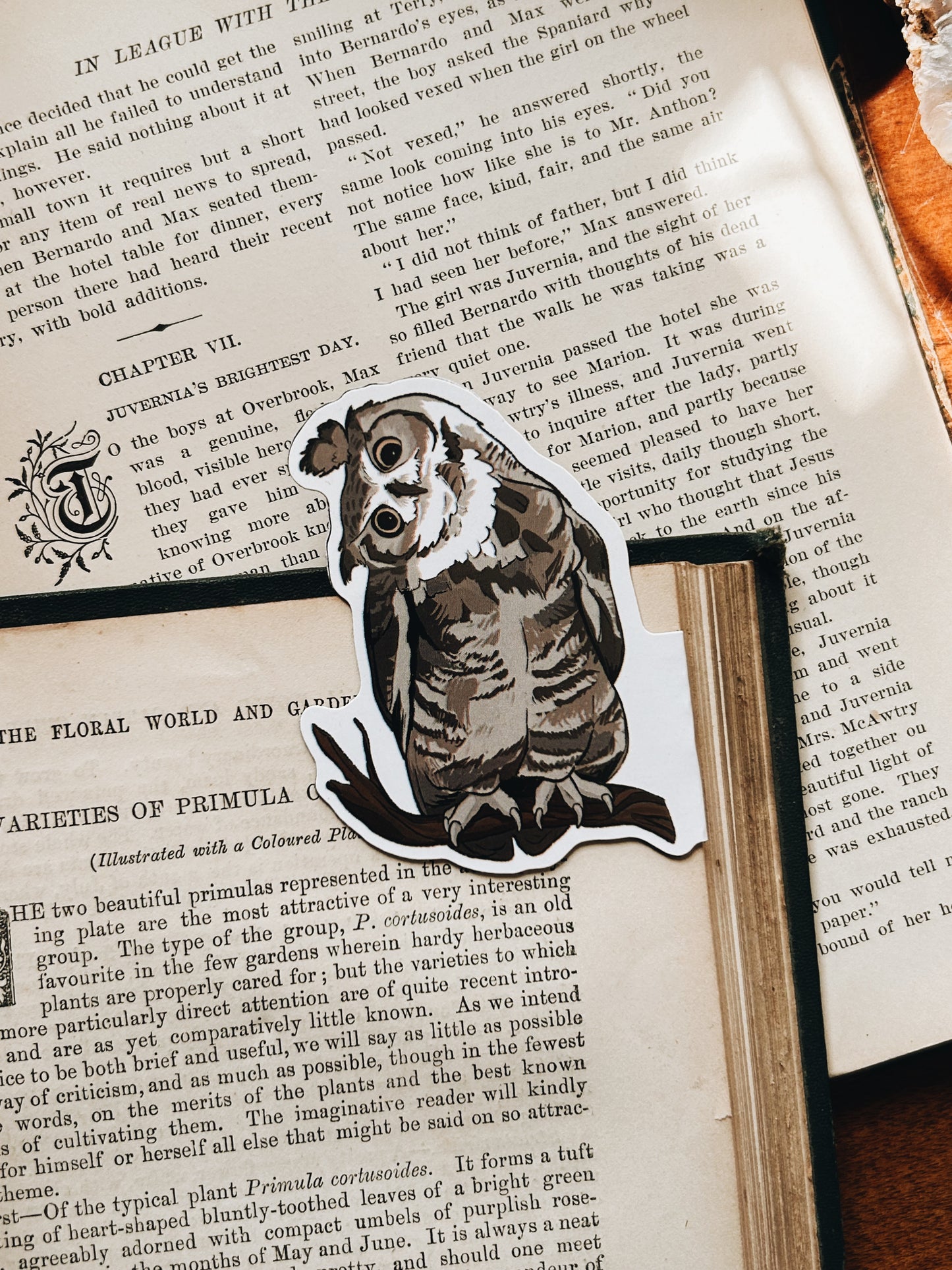 Henwyn | Magnetic Bookmark