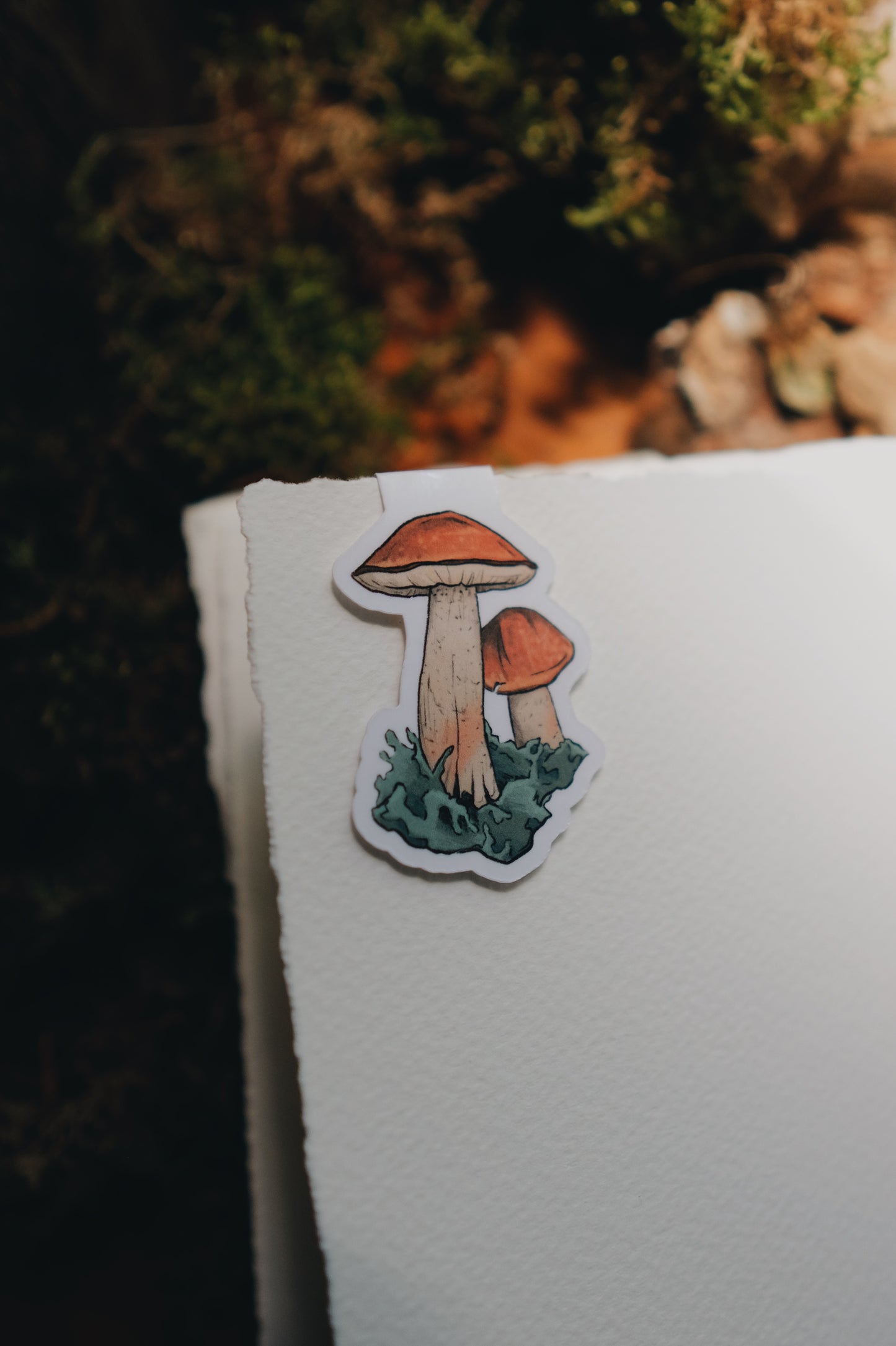 Mushie Foraging | Magnetic Bookmarks