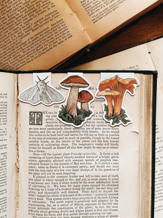 Enchanted Forest | Magnetic Bookmark