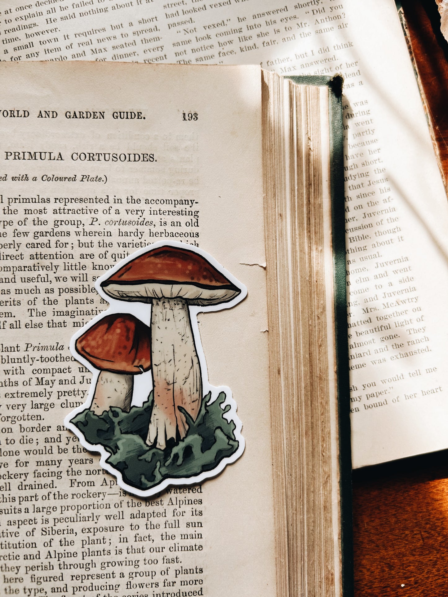 Enchanted Forest | Waterproof Vinyl Stickers | 3"